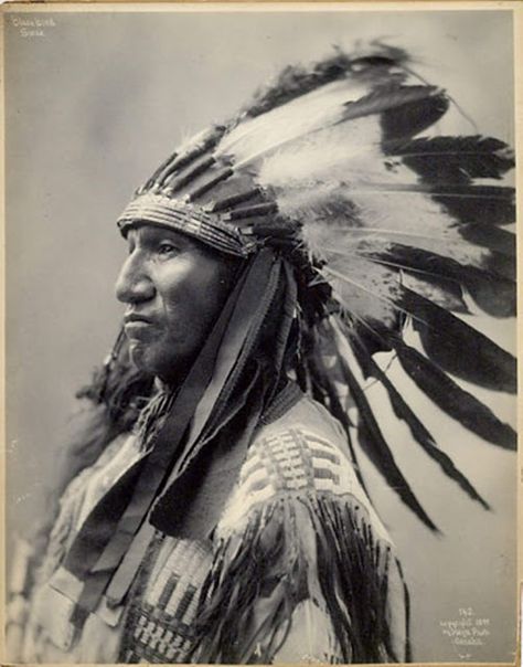 Sioux Indian, Native American Warrior, Native American Images, Native American Chief, Native American Men, Native American Pictures, Wilde Westen, Native American Photos, Native American Peoples