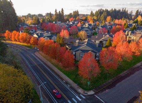 15 Best Things to Do in Hillsboro, OR Portland Neighborhoods, Hillsboro Oregon, Passive Solar Design, Downtown Portland, Neighborhood Guide, College Town, Community Park, Washington County, The Blue Mountains