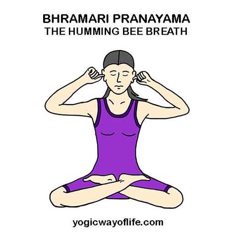 Bhramari Pranayama - The Humming Bee Breath Bhramari Pranayama, Pranayama Techniques, Pranayama Breathing, Pranayama Yoga, Fertility Yoga, Yoga Poses Names, Face Yoga Exercises, Yoga Breathing, Learn Yoga