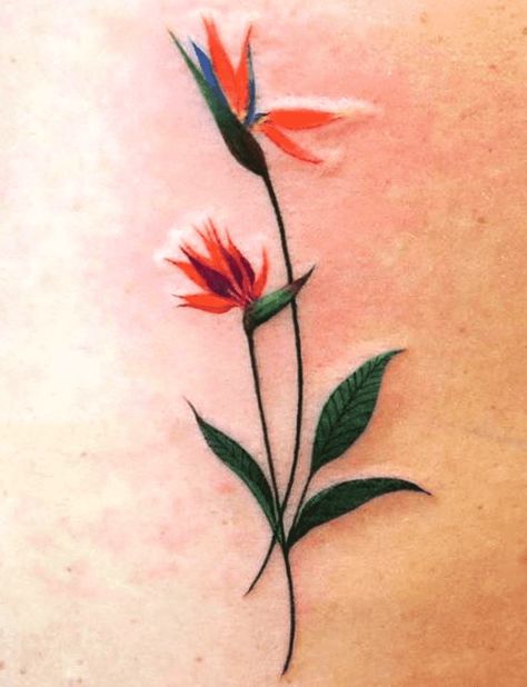 Minimalist Bird Of Paradise Tattoo, Paradise Tattoo Design, Bird Of Paradise Tattoo, Flower Vine Tattoos, Amazon Flowers, Flamingo Tattoo, Paradise Tattoo, Aquarius Tattoo, Floral Tattoos