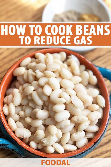 Beans are a good plant-based source of protein that's also high in healthy nutrients and dietary fiber. Yet, despite being inexpensive, many of us avoid them due to an unpleasant side effect of eating legumes: gas. Find out how to prepare and cook dried beans to make them easier to digest. #kitchenhacks #beans #foodal Eat More Beans, Thanksgiving Recipes Side Dishes Easy, Dry Beans Recipe, How To Make Beans, Cooking Beans, Cook Beans, Gut Recipes, Beans Beans, Cooking Dried Beans