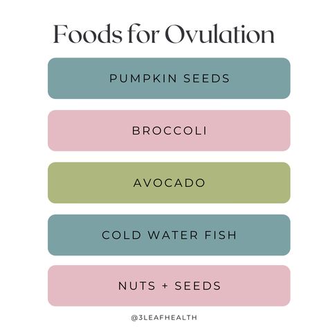 Ovulation Foods, Not Ovulating, Cycle Food, Cycle Synching, Ovulation Phase, Cycle Health, Female Cycle, Ovulatory Phase, Ovulation Symptoms