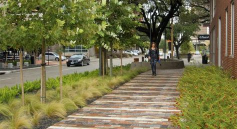 a green street in Houston, illustrated (by: Design Workshop, courtesy of… Streetscape Design, Architecture Foundation, New Urbanism, Pedestrian Street, Design Workshop, Green Street, Landscape Architecture Design, Green City, Street Design