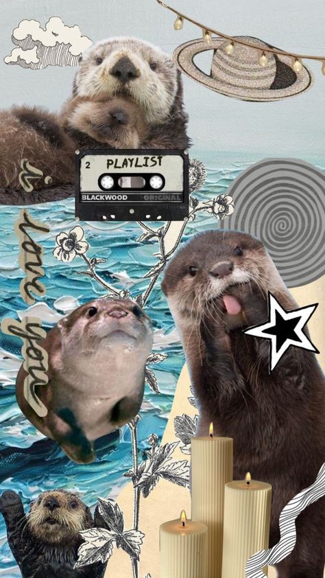 Odd Facts, Sea Life Wallpaper, Otters Cute, Youtube Banner Backgrounds, Cute Ferrets, Sea Otters, Baby Otters, Karakter Disney, Trash Panda