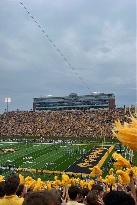 Mizzou Aesthetic, Mizzou Game Day, Mizzou Dorm, Meagan Brandy, Mizzou Football, College Necessities, Mizzou Tigers, College Bedding, College Football Season