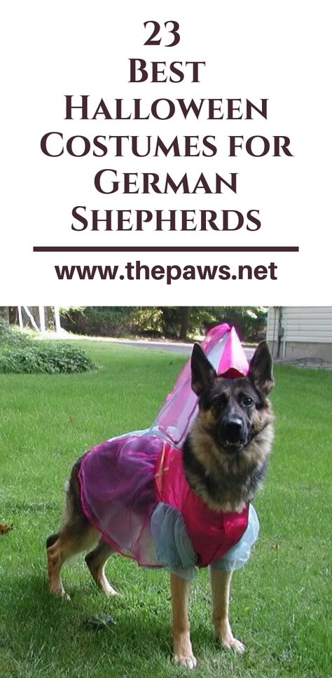 23 Best Halloween Costumes for German Shepherds. #halloweencostumes #germanshepherds #dogcostumes #dog #pet #thepaws Costumes For German Shepherds, Dog Halloween Costumes German Shepherd, German Shepard Costumes, Large Dog Costume Ideas, German Shepard Halloween Costumes, Dog Costume Ideas Diy, Diy Costume For Dog, Big Dog Costumes Halloween, Diy Dog Halloween Costumes For Big Dogs