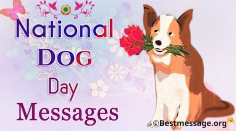 Happy National Dog Day Wishes Messages and Quotes – (August 26) National Dog Day Quotes, Quotes August, Dog Captions, Happy National Dog Day, Love Your Pet Day, National Dog Day, National Cat Day, National Pet Day, Dog Day