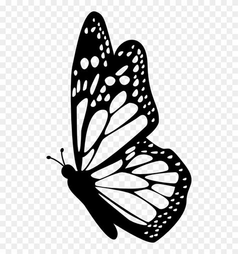 Butterfly Drawing Side View, Morpho Butterfly Drawing, Butterfly Drawing Black And White, Colorful Butterfly Drawing, Butterfly Drawing Ideas, Drawing Side View, Orange And Black Butterfly, Clipart Butterfly, Butterfly Tattoo Stencil