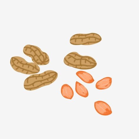 Peanut Illustration, Nuts Illustration, Peanut Cartoon, Dried Fruit Snacks, Peanuts Cartoon, Cartoon Png, Food Backgrounds, Cartoons Png, Illustration Food