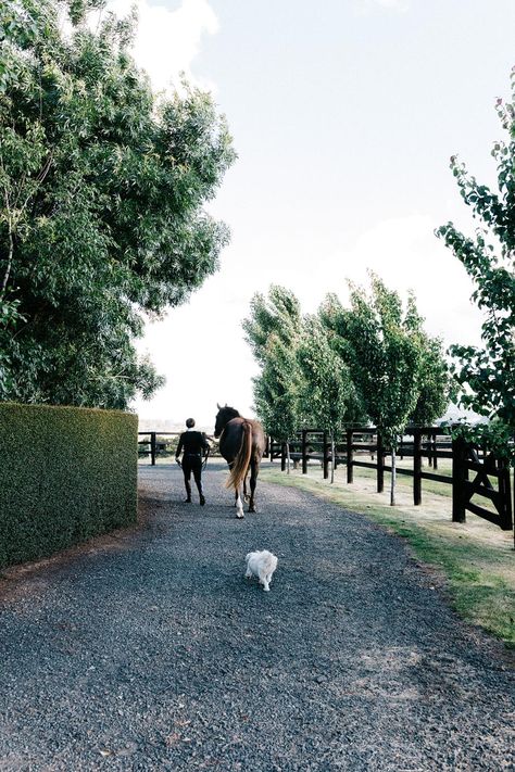 Horse rider Meaghan Willis' dream was to own a property that would allow her to live close to her horses. That was exactly what she found at Jimsbury Park at Hanging Rock, Victoria. It is where she has created a formal country garden and her dream stables. Equestrian Stables, Australian Garden Design, Country Garden Design, Bee Friendly Garden, Horse Arena, Hanging Rock, Dream Stables, Garden Inspo, Equestrian Estate