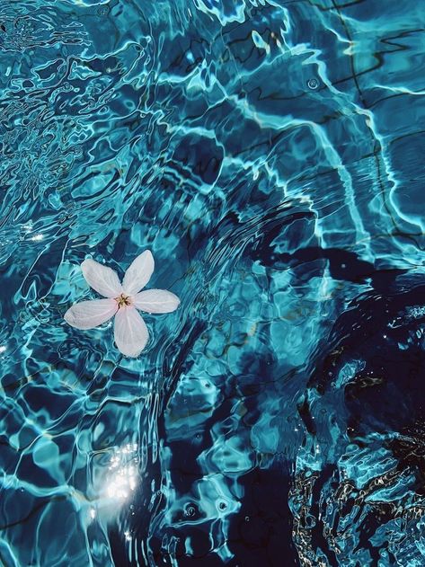 Ipad Wallpaper Backgrounds, Water Aesthetic, Beautiful Ocean Pictures, Water Pictures, Pool Blue, Water Pool, Flowery Wallpaper, Backgrounds Phone, Flower Water