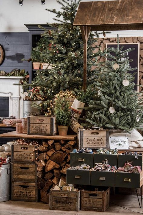 Magnolia Market Christmas, Magnolia Market, Deco Originale, Christmas Interiors, Chip And Joanna Gaines, Natural Christmas, Christmas Store, Christmas Tree Farm, Christmas Window