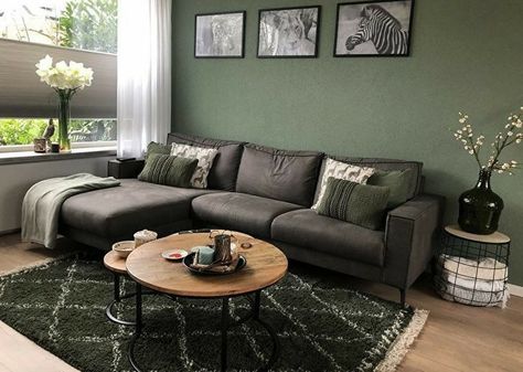 Livi G Room Decor Interior Design, Grey And Green Living Room, Green And Grey Living Room, Sage Living Room, Green Walls Living Room, Green Living Room Decor, Grey Sofa Living Room, Living Room Color Schemes, Living Room Design Inspiration