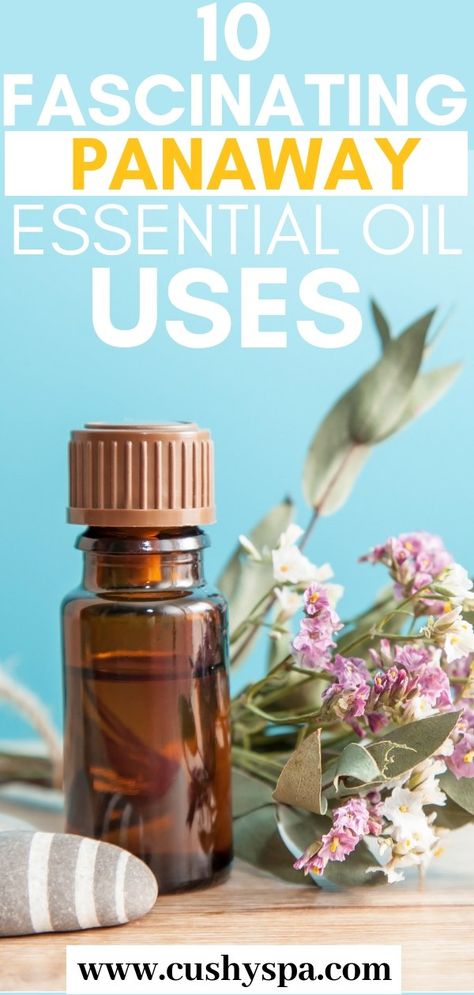 Here are 10 fascinating PanAway essential oil uses for you. Relieve pain, get rid of a headache, soothe muscle pain, prevent acne and much more! Aromatherapy benefits are great. #aromatherapy #essentialoils via @cushyspa Essential Ouls, Panaway Essential Oil, Lifestyle Hacks, Aromatherapy Benefits, Cedarwood Oil, Healing Oils, Oil Uses, Essential Oil Uses, Aromatherapy Oils