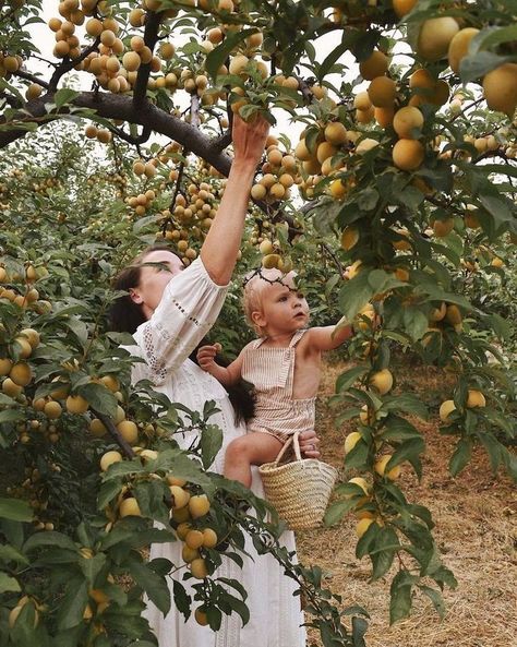 Future Mom, Cute Family, Family Goals, Apple Tree, 인물 사진, Future Life, Family Photoshoot, Future Baby, Future Kids