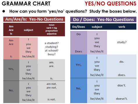 Yes / No Questions (Present) - All Things Grammar Present Simple Yes No Questions, W H Questions, Grammar Tenses Chart, English Grammar Tenses Chart, Tenses Chart, Grammar Tenses, Grammar Chart, Yes No Questions, Tenses Grammar