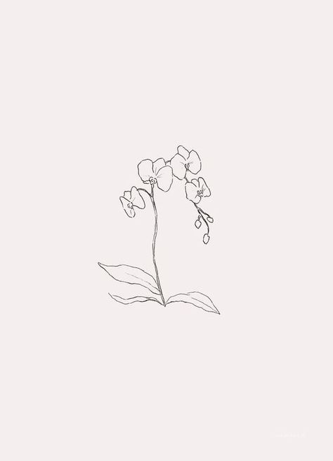 Minimalist Tattoo Women, Orchid Flower Tattoos, Orchid Cake, Orchid Drawing, 16 Tattoo, Orchid Tattoo, Tattoo Women, Discreet Tattoos, Dainty Tattoos