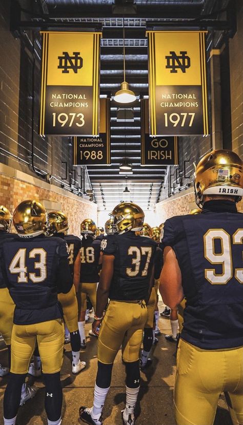 Notre Dame Football Aesthetic, Notre Dame Football Wallpapers, Ncaa Football Wallpapers, College Football Wallpaper, College Football Aesthetic, Notre Dame Wallpaper, Norte Dame Football, Football Dream, College Football Gameday