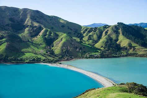 Hiking the Cable Bay Walkway, Nelson | See the South Island NZ Travel Blog Kiwi Aesthetic, Nz South Island, Nelson New Zealand, Nelson Bay, Environment Reference, New Zealand Adventure, Nz Travel, The Road Not Taken, West Papua