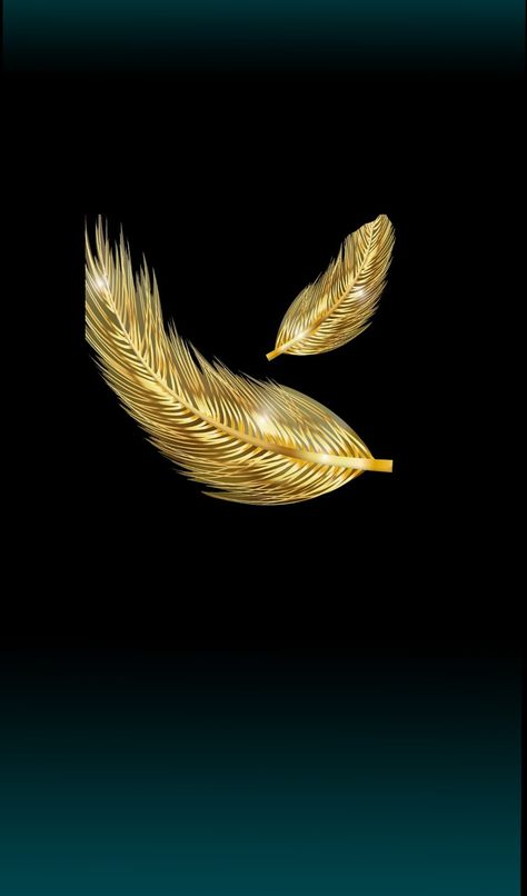 Black and gold Golden Feather Aesthetic, Black And Golden Background, Golden Feather, Black And Gold Aesthetic, Feather Wallpaper, Soyut Sanat Tabloları, Gold Aesthetic, Gold Feathers, Gold Wallpaper