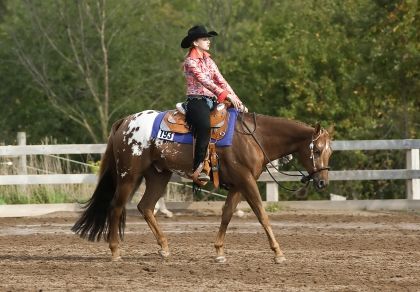 HorseWise: The Ups and Downs of Western Pleasure Western Pleasure Riding, Aqha Western Pleasure, English Pleasure, Western Pleasure Outfit, Training Horses, Stock Horse, American Quarter Horse Association, Western Pleasure Horses, Barrel Racing Saddles