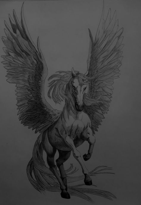 xavier acrux ⭑ zodiac academy Xavier Acrux Zodiac, Zodiac Academy Xavier, Graves Aesthetic, Pegasus Drawing, Horse Land, Pegasus Tattoo, Greek Monsters, Horse Tattoo Design, Heron Art