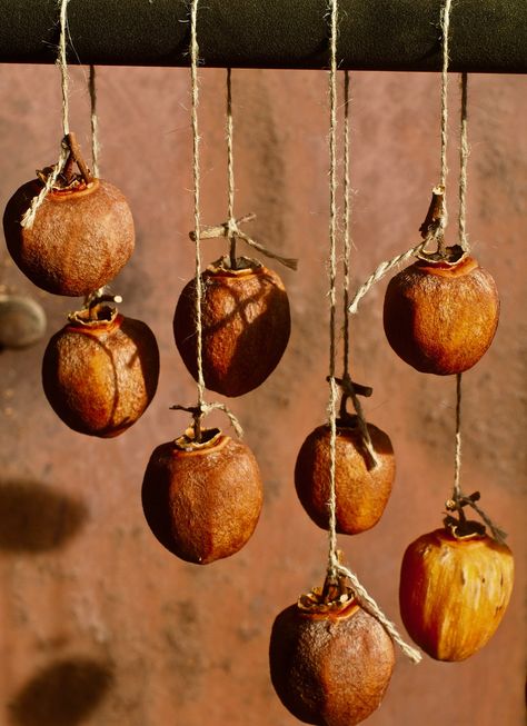 https://flic.kr/p/2keaEDs | Persimmons Drying in the Sun/Japanese Style | OLYMPUS DIGITAL CAMERA Dried Decor, Olympus Digital Camera, Persimmon, Farmhouse Christmas, Japanese Style, Digital Camera, The Sun, Pendant Light, Farmhouse