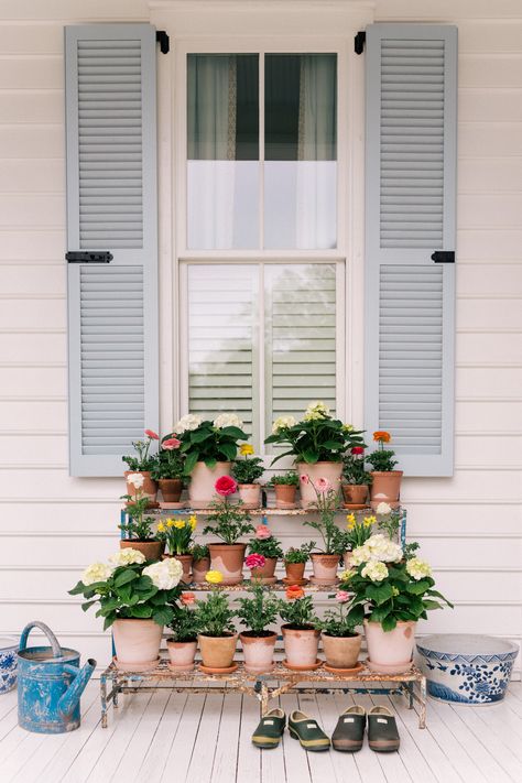 Front Porch Plant Stand, Porch Plant Stand, Front Porch Plants, Porch Plants, Porch Flowers, Plant Stands Outdoor, Bistro Lights, Porch Garden, Peace Lily