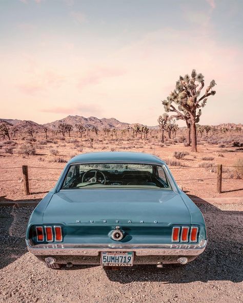 Paul Fuentes on Instagram: “Mustang 1967 🐴 🌵 • • #mustang #musclecars #joshuatree #joshuatreenationalpark #americancars #desert #vibes #paulfuentes” Mustang 1967, Paul Fuentes, Old American Cars, Vintage Mustang, 1967 Mustang, Tutorial Hijab, Desert Dream, Desert Vibes, Production Design