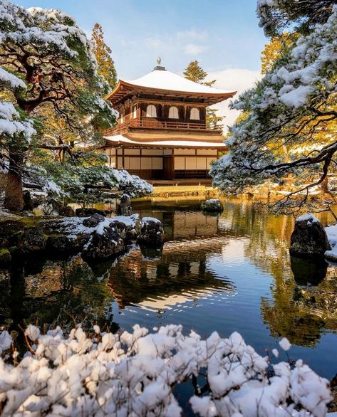 Ginkakuji, Kyoto Japan, Japanese Garden, Kyoto, Zen, Phone Wallpaper, Temple, Japan, On Instagram