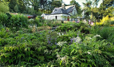 Required Reading: The Irish Garden - Gardenista Small Outdoor Garden Ideas, Patio Backyard Ideas, Small Outdoor Garden, Small Patio Ideas, Outdoor Garden Ideas, Garden Books, Irish Garden, Wicklow Ireland, County Wicklow