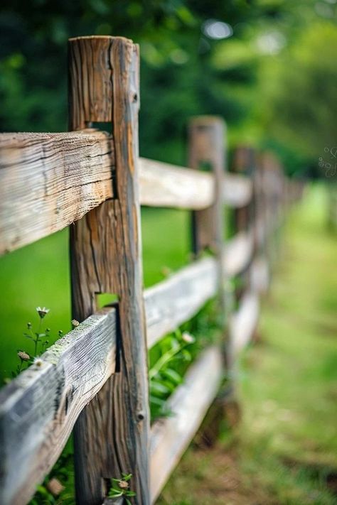 Rustic Wood Farm Fence Ideas to Beautify Your Property Old Wooden Fence Ideas, Rustic Fence Ideas, Farmhouse Fence Ideas, Farm Fence Ideas, Rustic Fencing, Rustic Fences, Cottage Fence, Wood Fence Ideas, Rustic Garden Fence