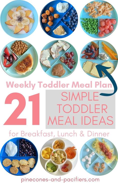 Meal Ideas For The Week, Easy Toddler Lunches, Meal Plan For Toddlers, Toddler Meal Ideas, Kids Foods, Toddler Foods, Kid Foods, Easy Toddler Meals, Toddler Dinner