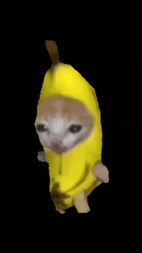 Banana Cat Walking GIF - Banana cat walking - Descobrir e Compartilhar GIFs Banana Cat Wallpaper, Gato Banana, Shaking Gif, Walking Gif, Banana Costume, Banana Cat, Japanese Art Samurai, Running Gif, Walking Meme