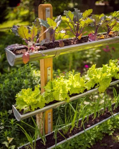 20 Best Vegetable Garden Layout Ideas - Planning Vegetable Garden Plot Pocket Garden, Garden Layout Vegetable, Garden Plots, Vertical Gardens, Pallets Garden, Seasonal Garden, Diy Garden Projects, Garden Care, Community Gardening