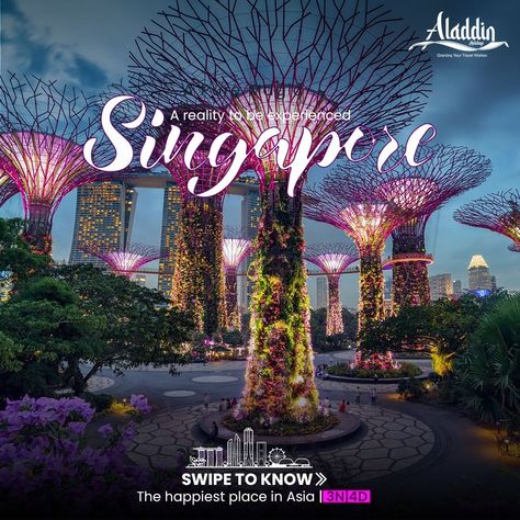 Singapore family tour package Singapore Tour Package, Singapore Attractions, Sky Ride, Singapore Tour, Kerala Travel, Honeymoon Packages, Tour Packages, Days Out, Aladdin