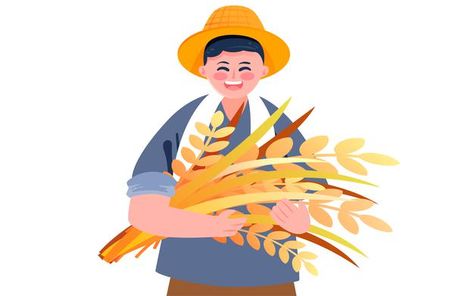 Harvest Illustration, Flat Character, Nature Autumn, Vector Poster, Motion Graphics, Premium Vector, Graphic Resources, Farmer, Grain