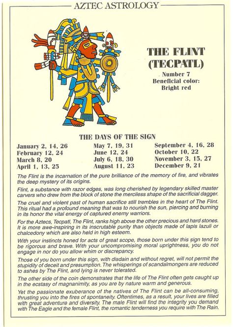 Aztec astrology postcard: The Flint Aztec Zodiac, Aztec Astrology, Mayan Astrology, Aztec Symbols, Aztec Culture, Aztec Warrior, Aztec Calendar, Aztec Art, Mexican Culture