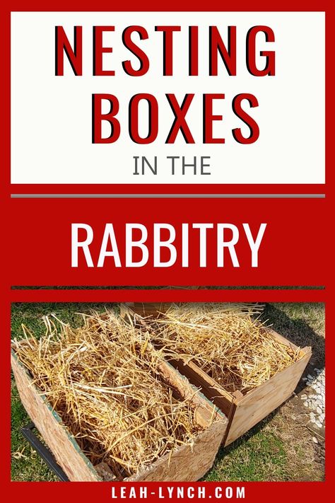 Rabbit Nest Box Diy, Diy Rabbit Nesting Box Ideas, Rabbit Nesting Box Ideas, Rabbit Nesting Box Diy, Rabbit Barn Ideas, Farm Rabbits, Rabbit Nesting Box, Rabbit Waterer, Caring For Rabbits