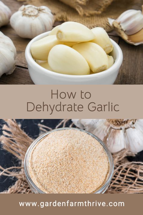 Whether you buy garlic in bulk or grow it in your garden, you can dehydrate your excess cloves for future use. Learn the benefits of Garlic. Learn how to preserve garlic by dehydrating it. How To Dehydrate Onions In Dehydrator, How To Dehydrate Garlic, Dehydrate Garlic Cloves, Dehydrating Garlic In Dehydrator, Dehydrated Garlic Cloves, How To Preserve Garlic In Oil, How To Preserve Garlic Cloves, How To Preserve Fresh Garlic, Preserving Garlic Cloves