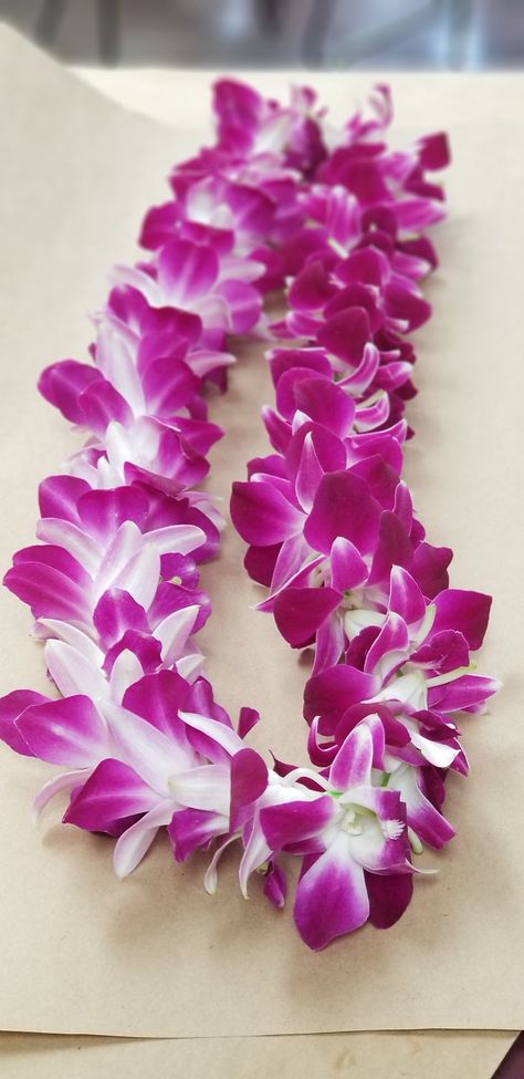 Single Dendrobium orchid lei @ Cerritoshillsflorist.com  562 402 8109 Orchid Lei, College Grad Party, Dendrobium Orchid, Graduation Leis, Grad Party Decorations, Party Poppers, Eco Green, Plumeria Flowers, Dendrobium Orchids