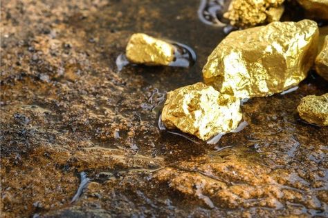 How To Tell If Gold Is Real: 11 Easy Ways To Ensure You Have The Real Thing Gold Deposit, Gold Miners, Small Caps, Bullion Coins, Real Gold Jewelry, Types Of Gold, Gold Mining, Gold Nugget, Gold Rush