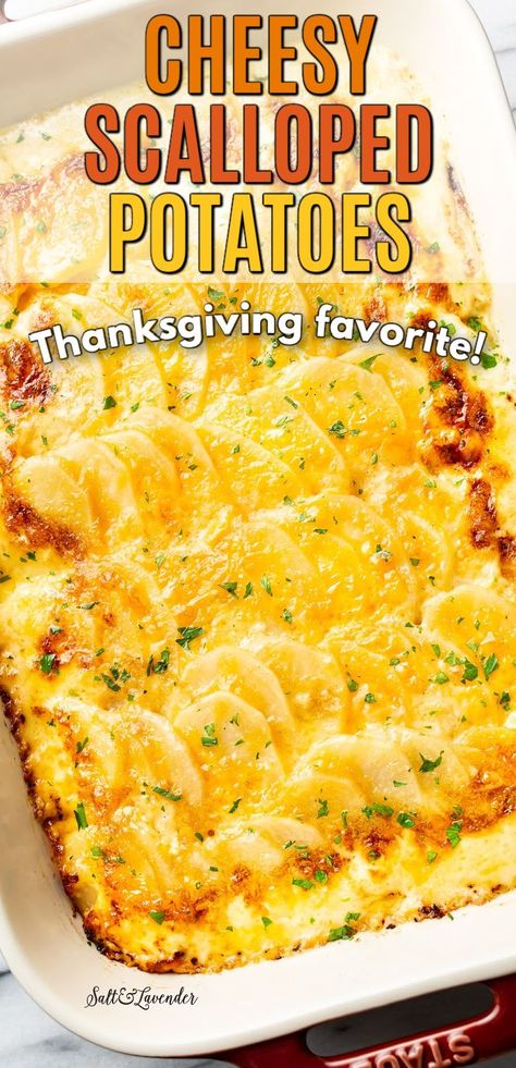 Easy Cheesy Scalloped Potatoes, Easy Scalloped Potatoes Recipe, Cheesy Scalloped Potatoes, Scalloped Potatoes Easy, Scalloped Potatoes Recipe, Au Gratin Potato Recipes, Au Gratin Recipes, Scalloped Potatoes Cheesy, Thanksgiving Side Dish