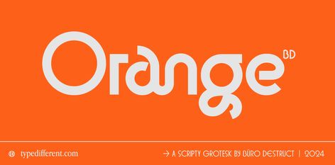 Cool Logo Fonts, Typographic Packaging, Orange Graphic Design, Typographie Design, Quirky Fonts, Font Logo Design, Japanese Branding, Charity Logo Design, Glyph Font