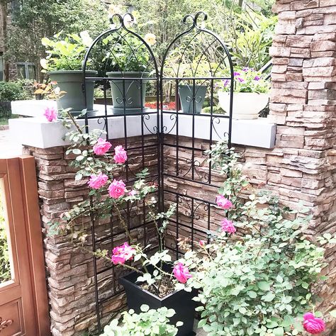 Specifications Color: Black Material: Diameter 0.51” galvanized tube with flat iron Net Weight: 9.7 pounds / 2 pack Package include: 2 x Trellises with Screws (without green plants and flowers)   Product Size Single trellis: 19.7’’ Wide x 71’’High Total… Climbing Plants Outdoor, Flower Support, Pea Trellis, Metal Garden Trellis, Garden Arch Trellis, Arch Trellis, Metal Trellis, Garden Obelisk, Iron Planters