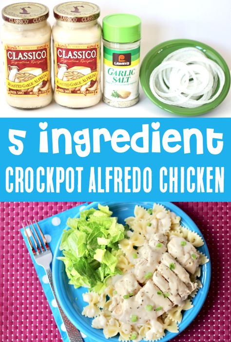 Chicken Alfredo Crock Pot, Crockpot Chicken Alfredo Easy Jar, Crock Pot Chicken Alfredo Recipes, Crockpot Chicken Recipes Alfredo, Crockpot Chicken Fettuccine, Crockpot Fettucini Alfredo Chicken Easy Recipes, Crockpot Chicken Alfredo With Jar Sauce, Crockpot Chicken Alfredo Easy Jar Sauce, Chicken Broccoli Alfredo Pasta Crockpot