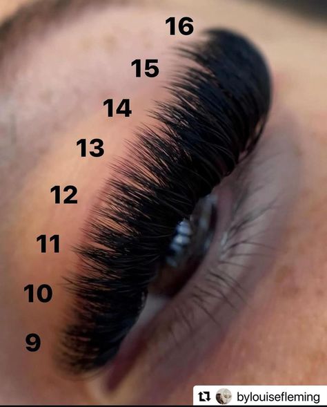 30d Lash Cluster Map, Lash Clusters Extensions Map, Lash Patterns, Doll Lash Extensions Map, D Curl Lash Map Clusters, Doll Lash Cluster Map, Thick Lash Extensions, Lash Cluster Mapping Styles, Cat Eye Lash Map