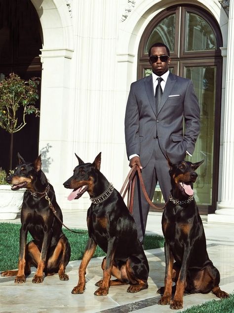 Biggest Dog, A Man In A Suit, Doberman Love, Man In A Suit, Doberman Pinscher Dog, Boy Bye, Doberman Dogs, Doberman Pinscher, Tom Brady