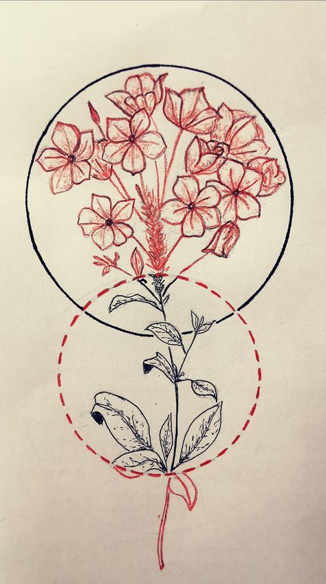 #plumbago #blackandred #tattooproject #drawing #tattoo Plumbago Tattoo, Drawing Tattoo, Tattoo Project, All Tattoos, Future Tattoos, Cute Tattoos, Tattoo Drawings, Tatting, Tattoo Ideas