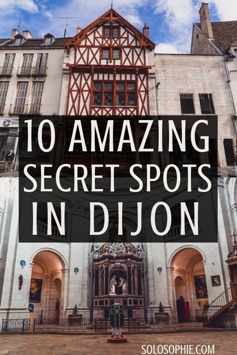 Secret Spots in Dijon France & A Complete Guide to the best of unusual, offbeat, and quirky things to do in the mustard city of Dijon, France Where Is Bora Bora, Dijon France, Road Trip France, Burgundy France, France City, France Travel Guide, Visit France, Loire Valley, Top Travel Destinations